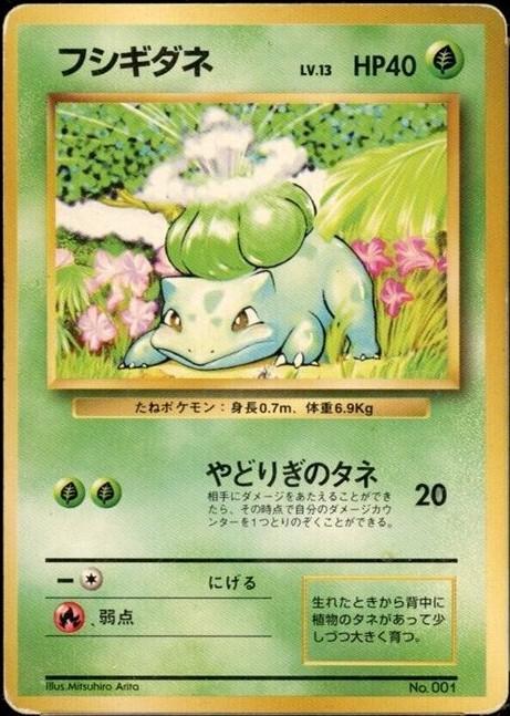 BULBASAUR reference card artwork in a custom Prom's Collection holder